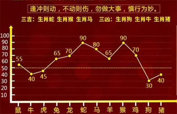 一肖一码中持一一肖一码，精选解释解析落实